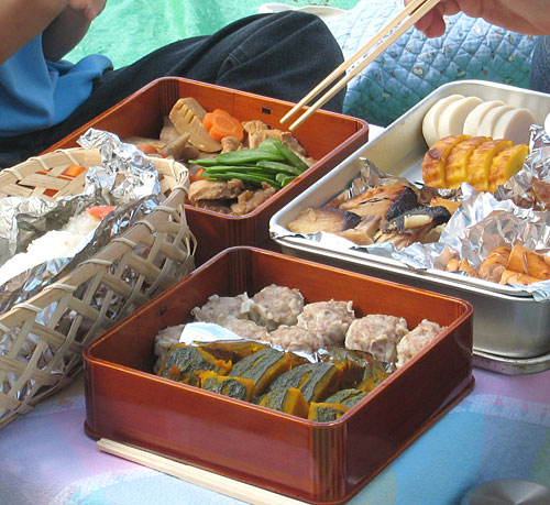 everyday-bento-picnic.jpg