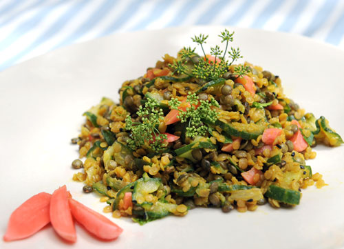 lentil-2color-salad500.jpg